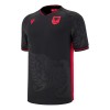 Original Fußballtrikot Albanien Ausweichtrikot 2025-26 Für Herren